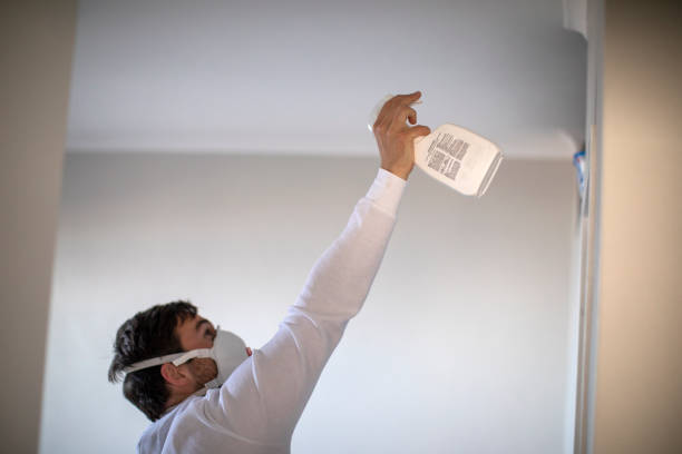 Best Black Mold Removal  in Lucerne Valley, CA