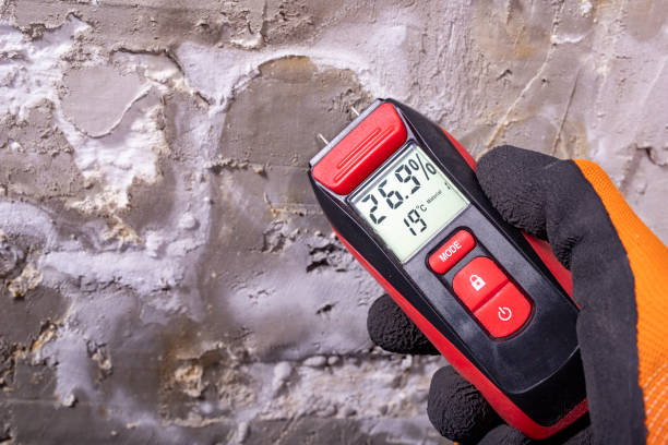 Best Toxic Mold Removal  in Lucerne Valley, CA