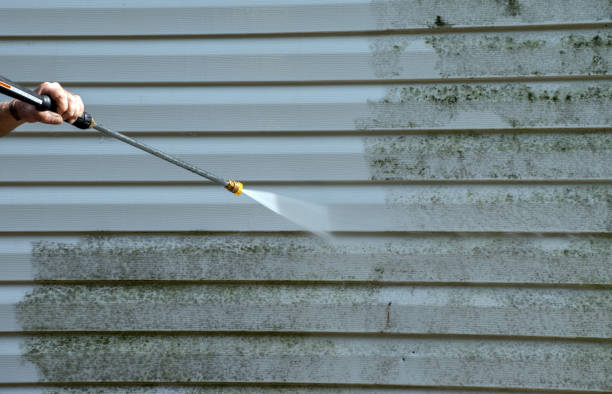 Attic Mold Removal in Lucerne Valley, CA