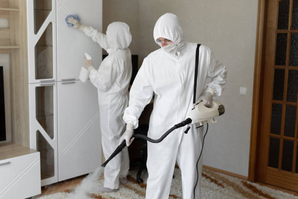 Mold Testing and Removal in Lucerne Valley, CA