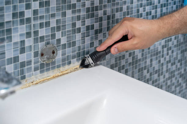 Trusted Lucerne Valley, CA Mold Removal Experts