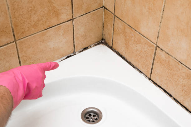 Best Mold Testing  in Lucerne Valley, CA